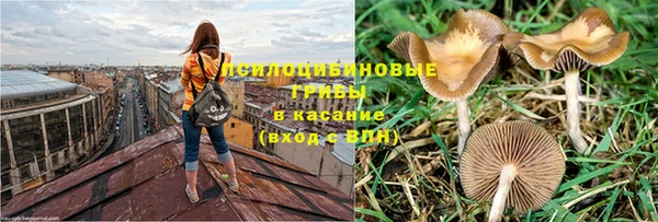 хмурый Балахна