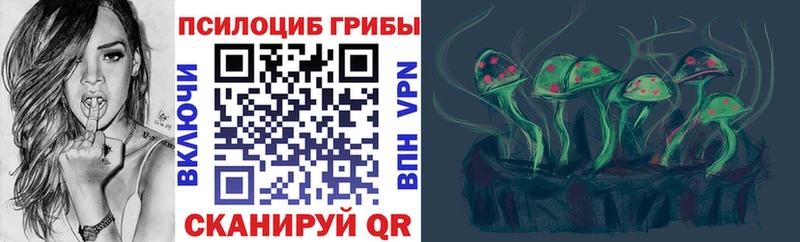 blacksprut ссылки  Горно-Алтайск  Галлюциногенные грибы Psilocybe 