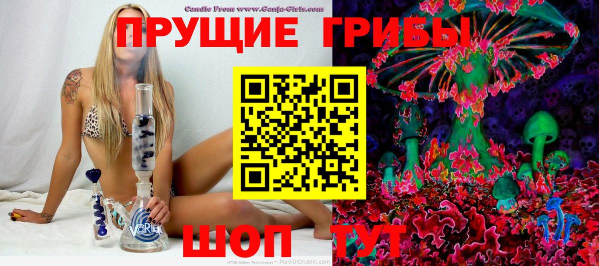 Галлюциногенные грибы Psilocybine cubensis  Горно-Алтайск  закладка  Псилоцибиновые грибы MAGIC MUSHROOMS 