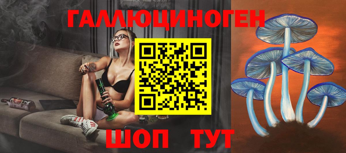 купить наркоту  Галлюциногенные грибы MAGIC MUSHROOMS  Вход с VPN  Горно-Алтайск 