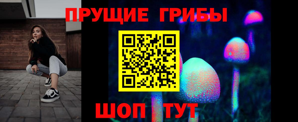 Псилоцибиновые грибы Psilocybe Горно-Алтайск